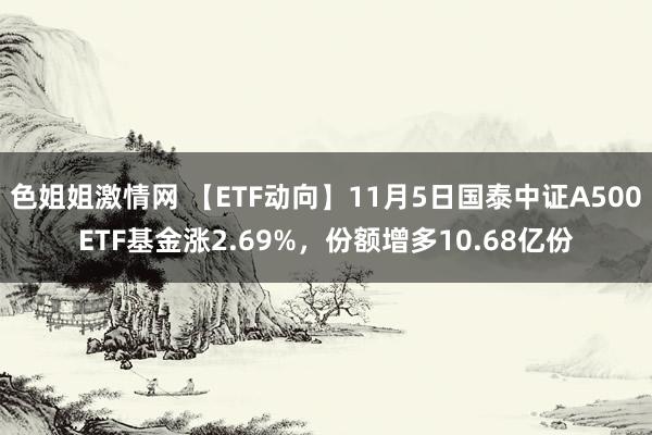 色姐姐激情网 【ETF动向】11月5日国泰中证A500ETF基金涨2.69%，份额增多10.68亿份