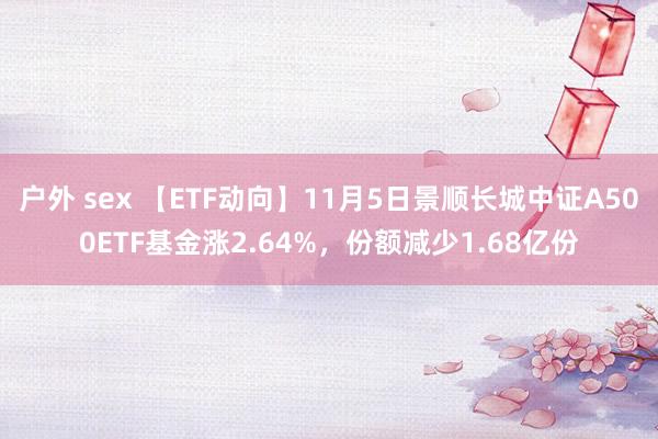 户外 sex 【ETF动向】11月5日景顺长城中证A500ETF基金涨2.64%，份额减少1.68亿份