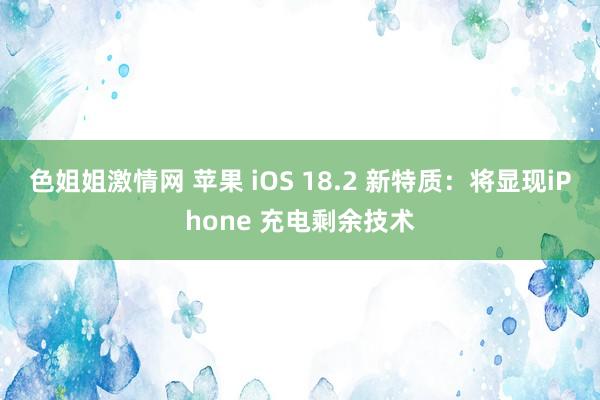 色姐姐激情网 苹果 iOS 18.2 新特质：将显现iPhone 充电剩余技术