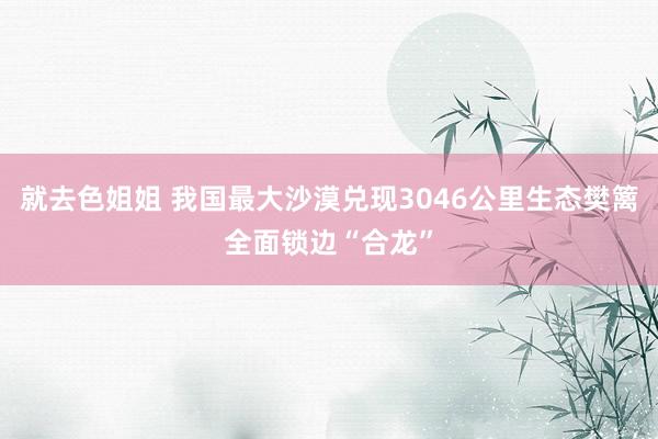 就去色姐姐 我国最大沙漠兑现3046公里生态樊篱全面锁边“合龙”