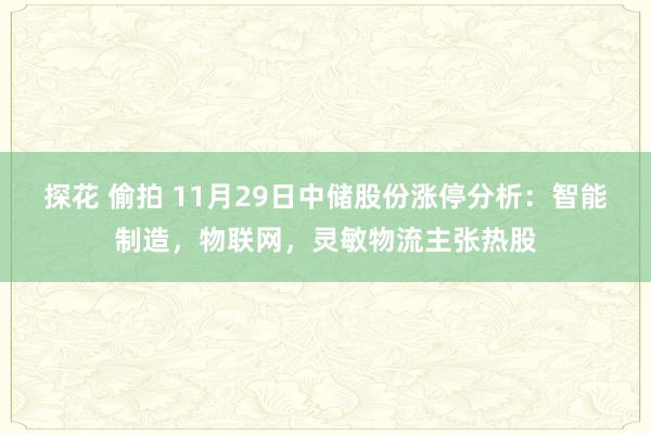 探花 偷拍 11月29日中储股份涨停分析：智能制造，物联网，灵敏物流主张热股