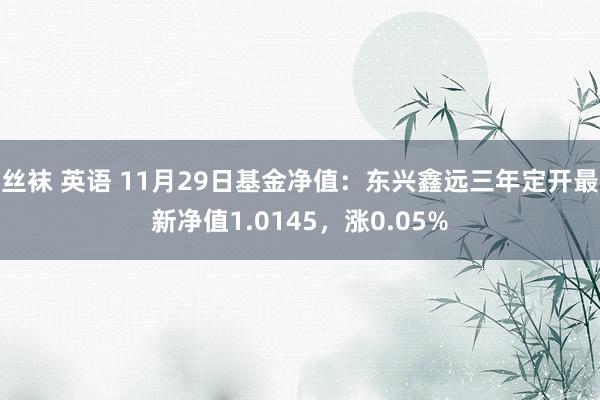 丝袜 英语 11月29日基金净值：东兴鑫远三年定开最新净值1.0145，涨0.05%