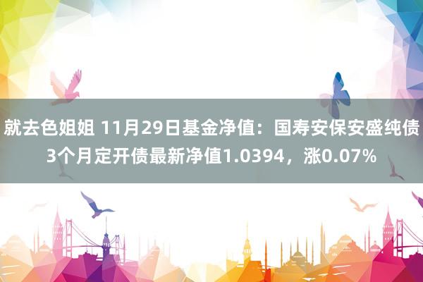 就去色姐姐 11月29日基金净值：国寿安保安盛纯债3个月定开债最新净值1.0394，涨0.07%