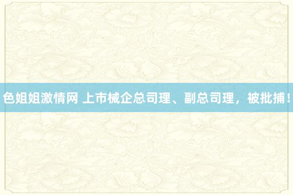 色姐姐激情网 上市械企总司理、副总司理，被批捕！