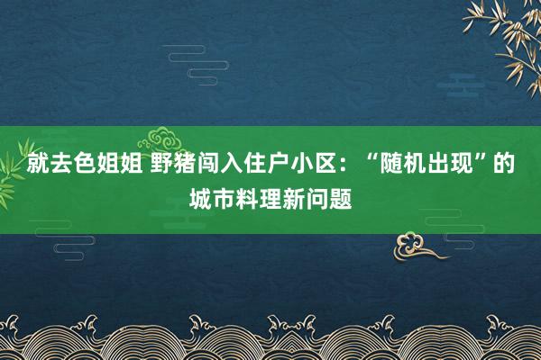 就去色姐姐 野猪闯入住户小区：“随机出现”的城市料理新问题