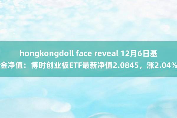 hongkongdoll face reveal 12月6日基金净值：博时创业板ETF最新净值2.0845，涨2.04%