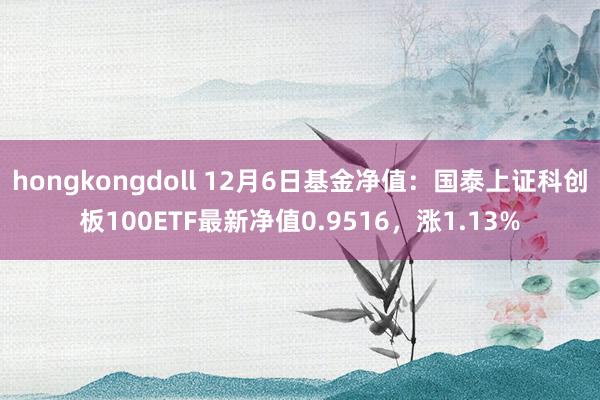 hongkongdoll 12月6日基金净值：国泰上证科创板100ETF最新净值0.9516，涨1.13%