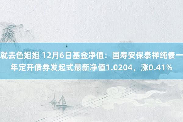 就去色姐姐 12月6日基金净值：国寿安保泰祥纯债一年定开债券发起式最新净值1.0204，涨0.41%