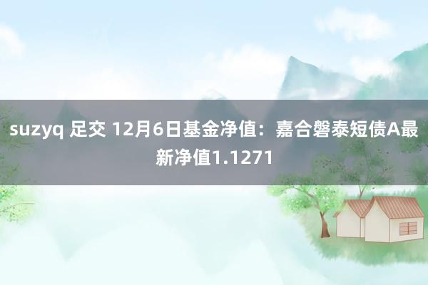 suzyq 足交 12月6日基金净值：嘉合磐泰短债A最新净值1.1271