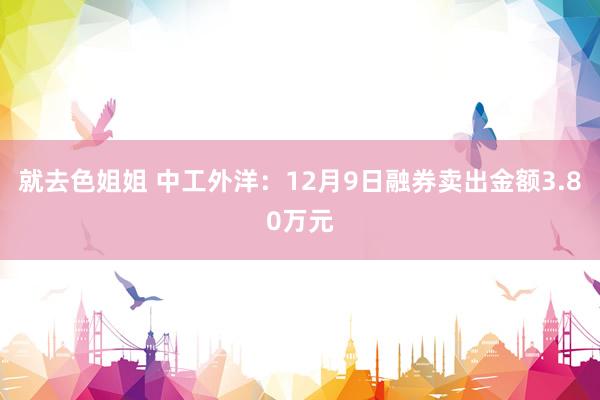 就去色姐姐 中工外洋：12月9日融券卖出金额3.80万元