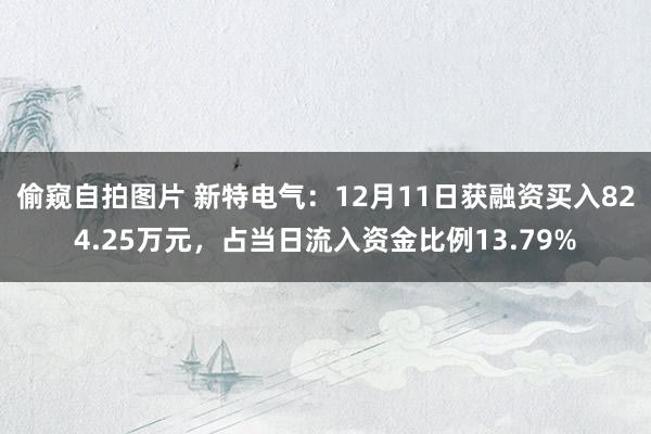 偷窥自拍图片 新特电气：12月11日获融资买入824.25万元，占当日流入资金比例13.79%