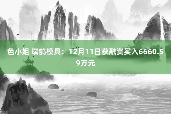 色小姐 瑞鹄模具：12月11日获融资买入6660.59万元