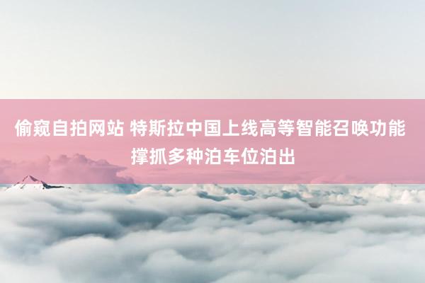 偷窥自拍网站 特斯拉中国上线高等智能召唤功能 撑抓多种泊车位泊出