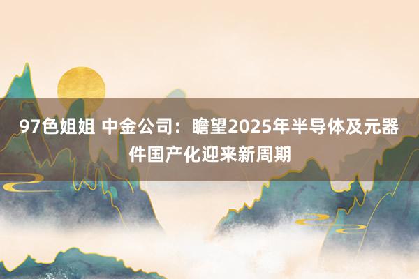 97色姐姐 中金公司：瞻望2025年半导体及元器件国产化迎来新周期