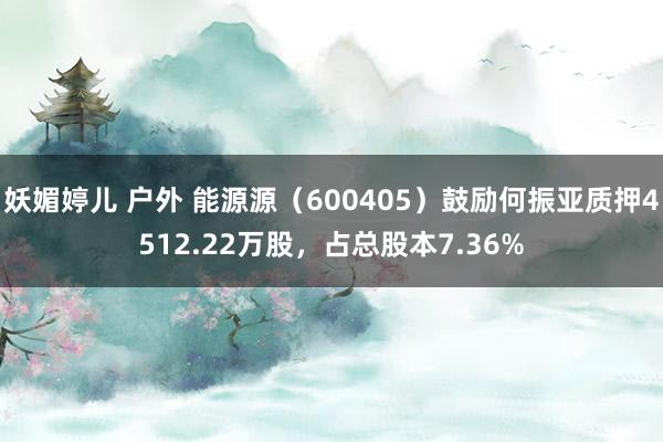 妖媚婷儿 户外 能源源（600405）鼓励何振亚质押4512.22万股，占总股本7.36%