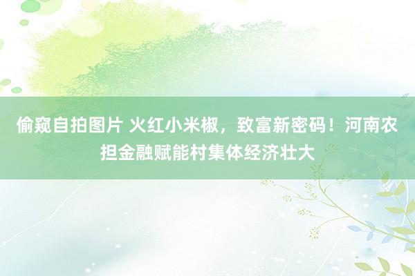 偷窥自拍图片 火红小米椒，致富新密码！河南农担金融赋能村集体经济壮大