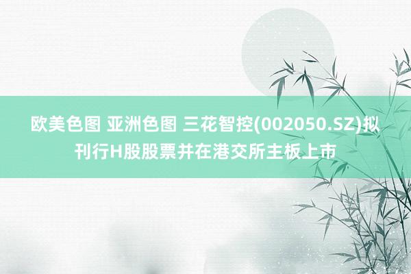 欧美色图 亚洲色图 三花智控(002050.SZ)拟刊行H股股票并在港交所主板上市