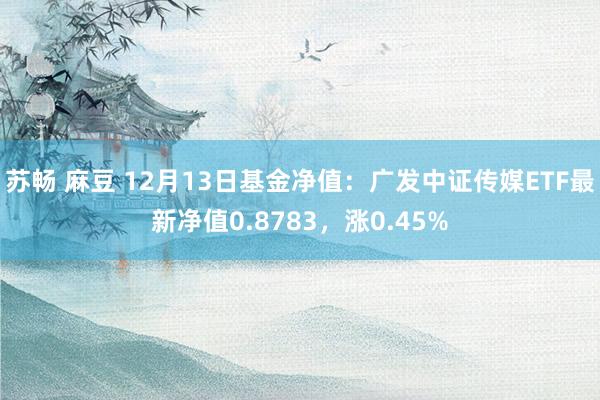 苏畅 麻豆 12月13日基金净值：广发中证传媒ETF最新净值0.8783，涨0.45%