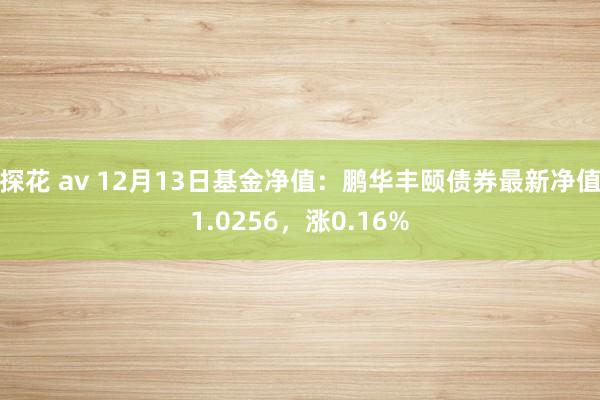 探花 av 12月13日基金净值：鹏华丰颐债券最新净值1.0256，涨0.16%