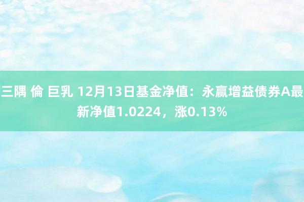 三隅 倫 巨乳 12月13日基金净值：永赢增益债券A最新净值1.0224，涨0.13%