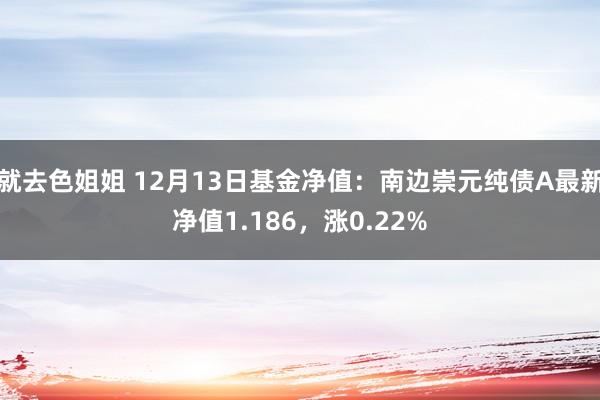 就去色姐姐 12月13日基金净值：南边崇元纯债A最新净值1.186，涨0.22%