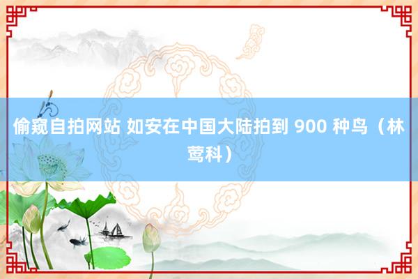 偷窥自拍网站 如安在中国大陆拍到 900 种鸟（林莺科）