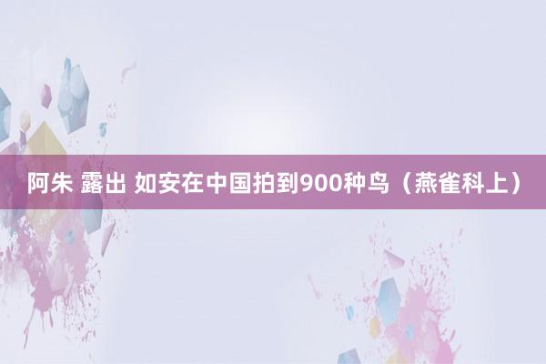 阿朱 露出 如安在中国拍到900种鸟（燕雀科上）