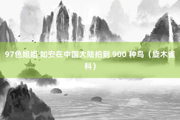 97色姐姐 如安在中国大陆拍到 900 种鸟（旋木雀科）