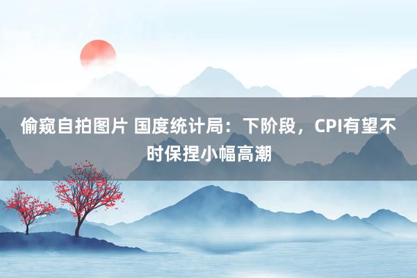 偷窥自拍图片 国度统计局：下阶段，CPI有望不时保捏小幅高潮