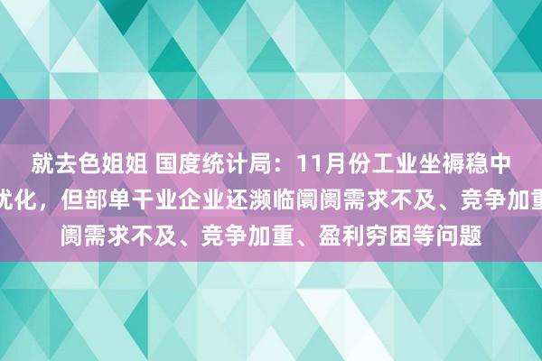 就去色姐姐 国度统计局：11月份工业坐褥稳中有升产业结构不息优化，但部单干业企业还濒临阛阓需求不及、竞争加重、盈利穷困等问题