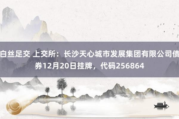 白丝足交 上交所：长沙天心城市发展集团有限公司债券12月20日挂牌，代码256864