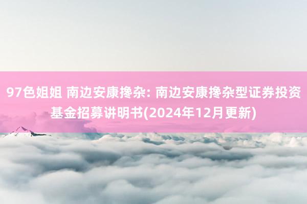 97色姐姐 南边安康搀杂: 南边安康搀杂型证券投资基金招募讲明书(2024年12月更新)