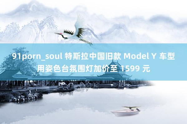 91porn_soul 特斯拉中国旧款 Model Y 车型用姿色台氛围灯加价至 1599 元