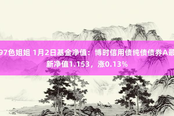 97色姐姐 1月2日基金净值：博时信用债纯债债券A最新净值1.153，涨0.13%