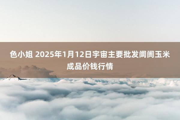 色小姐 2025年1月12日宇宙主要批发阛阓玉米成品价钱行情